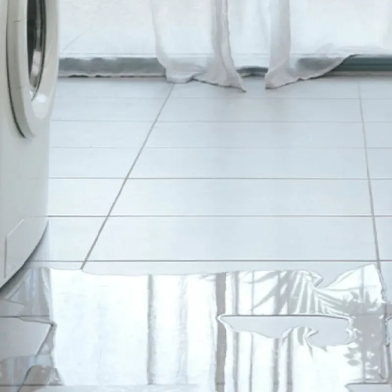 Appliance Leak Cleanup in North Lauderdale, FL
